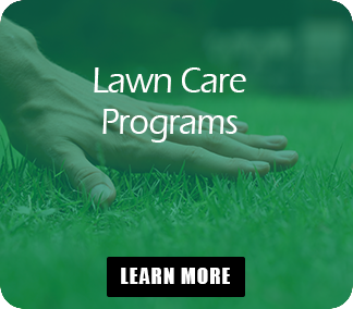 Lawn Care Programs